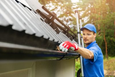 Maintenance of Box Gutters